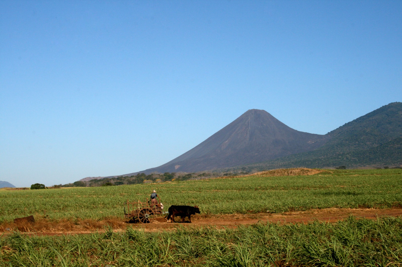 La Rosa y los tres volcanes